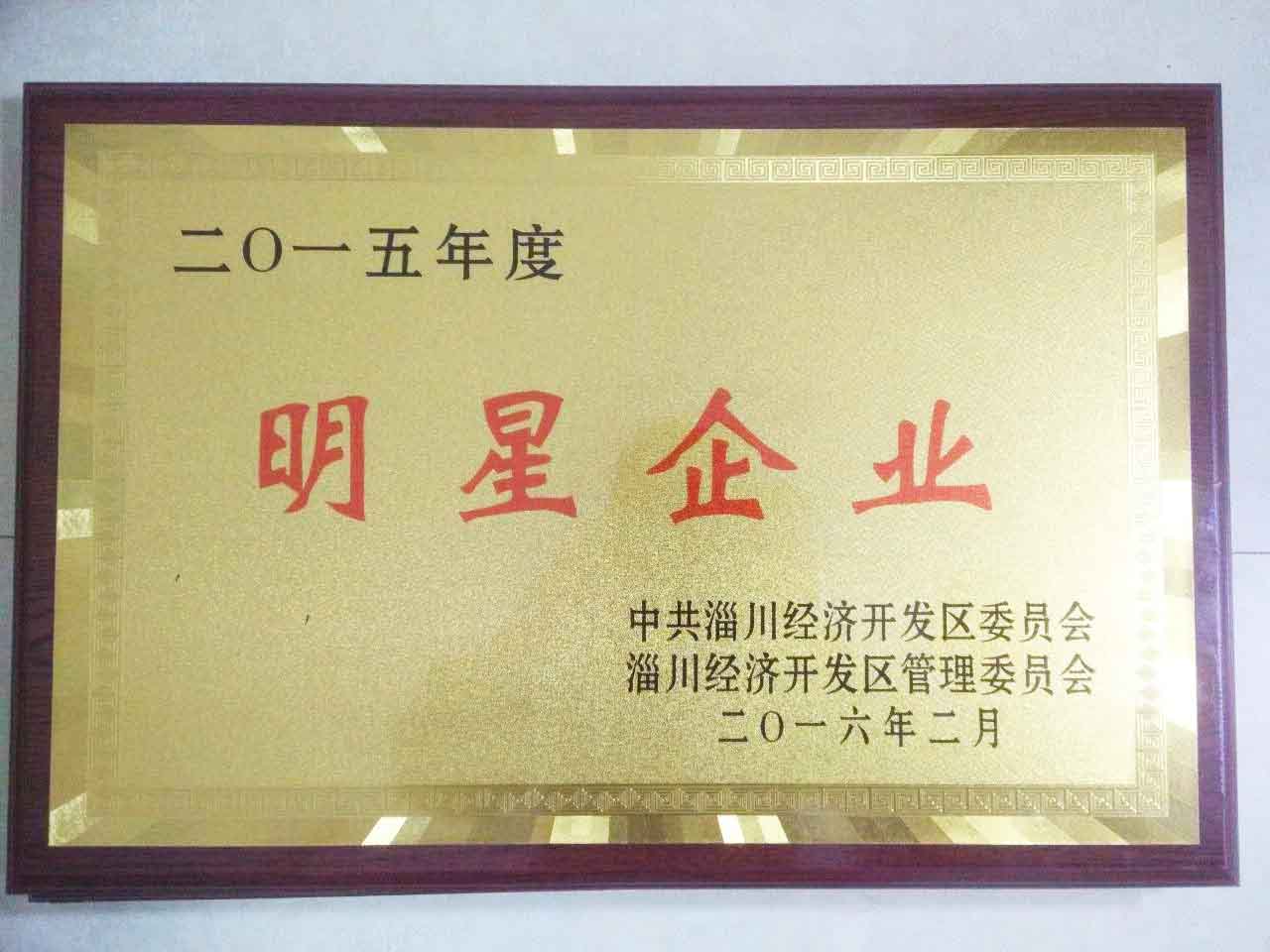 2015年度開發(fā)區(qū)明星企業(yè)