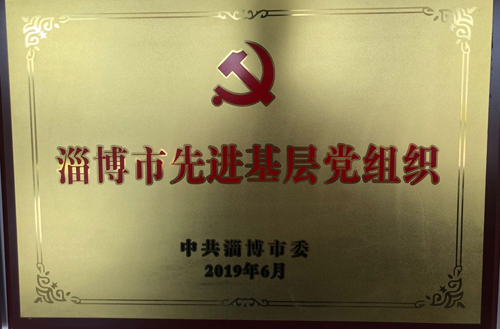 2019年淄博市先進(jìn)基層黨組織